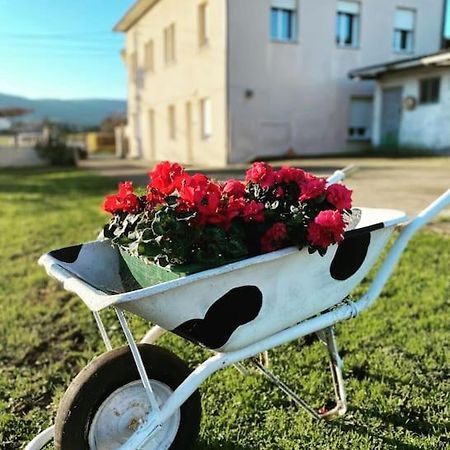 Viviendas Uso Turistico Reme II Foz Zewnętrze zdjęcie